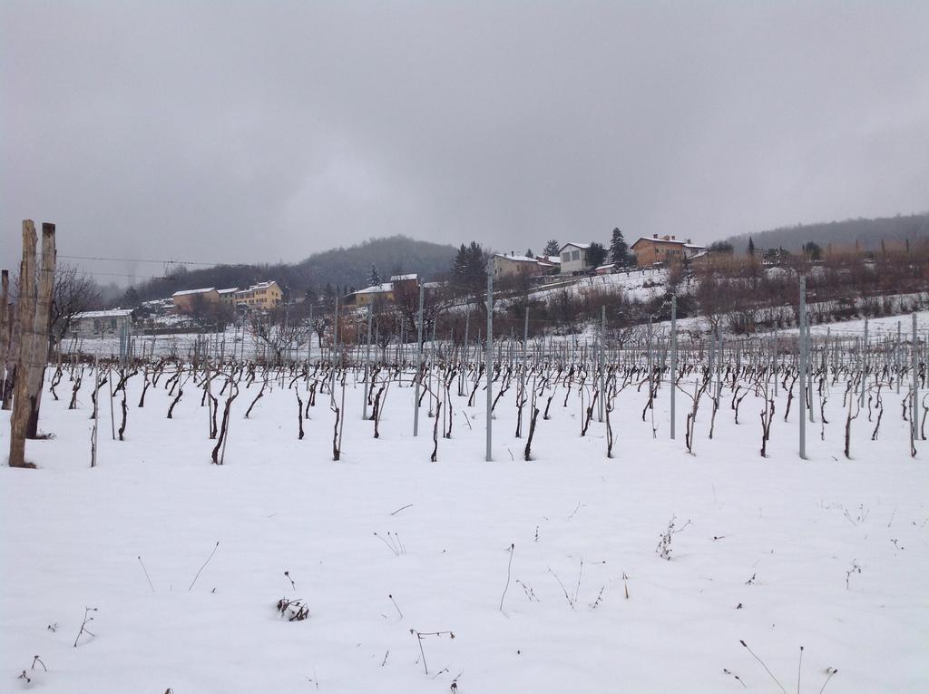 Azienda Agricola Garoglio Davide アルフィアーノ・ナッタ エクステリア 写真
