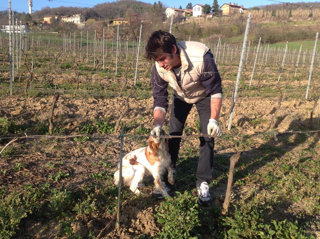 Azienda Agricola Garoglio Davide アルフィアーノ・ナッタ エクステリア 写真